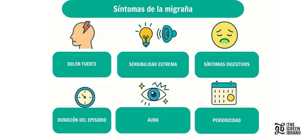 infographie présentant les principaux symptômes de la migraine