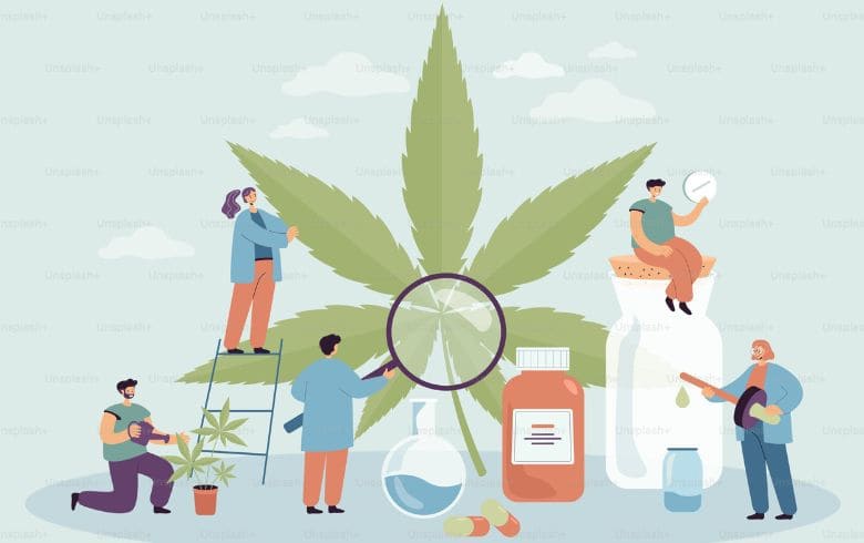Actualités sur le cannabis