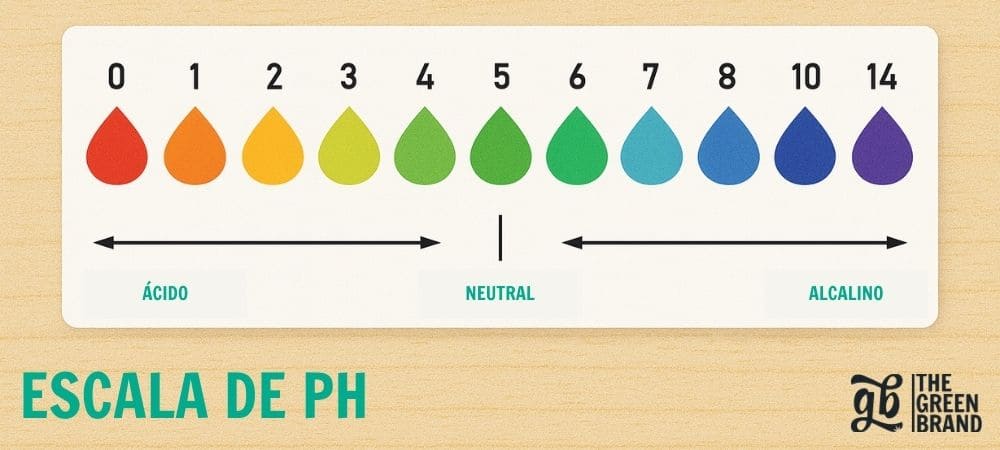 Échelle de pH de 0 à 14 avec codes couleur indiquant les valeurs acides, neutres et alcalines, utilisée comme référence dans la culture du cannabis