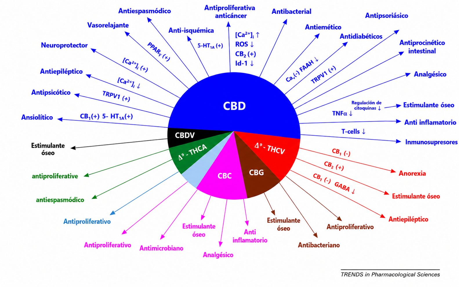 Cannabis thérapeutique Cannabis thérapeutique
