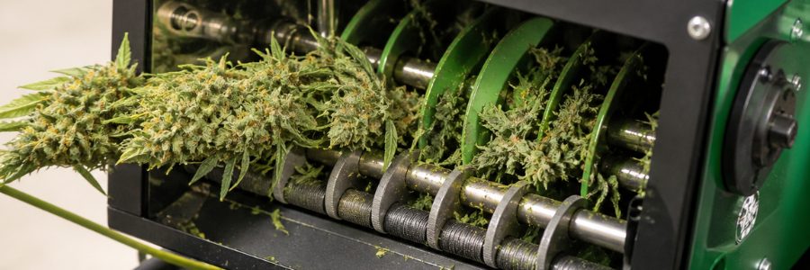 Effeuilleuse : séchage à sec ou humide, laquelle choisir