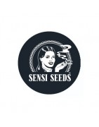 Sensi Seeds Autofloraison