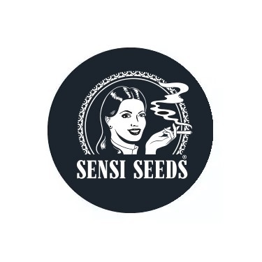 Sensi Seeds Autofloraison