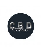 CBD Seeds féminisées