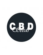 Classic Collection CBD Seeds