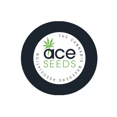 ACE Seeds régulières