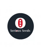 Serious Seeds régulières