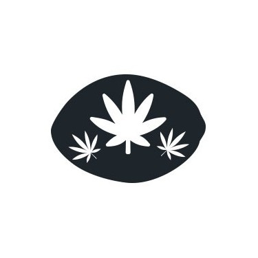 Graines de cannabis