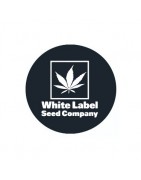 White Label Autofloraison