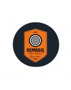 Kannabia Seeds Autofloraison