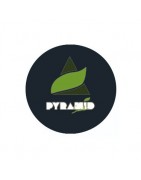 Pyramid Seeds Autofloraison