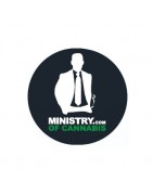 Ministry of Cannabis Autofloraison