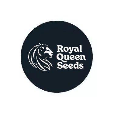 Royal Queen Seeds Autofloraison