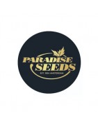 Paradise Seeds Autofloraison