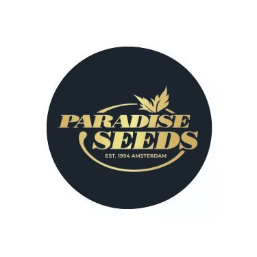 Paradise Seeds Autofloraison