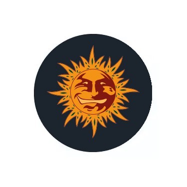 Barney's Farm Autofloraison