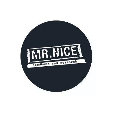 Mr. Nice Seeds régulières