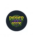 Ripper Seeds graines féminisées