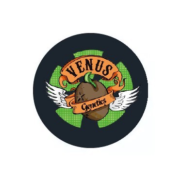 Venus Genetics Autofloraison