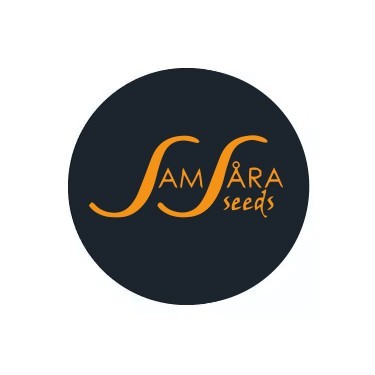 Samsara Seeds Autofloraison