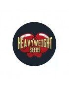 Heaviweight Seeds Autofloraison