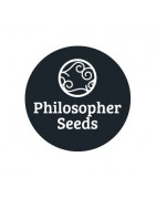 Philosopher Seeds féminisées