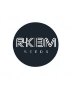 R-Kiem Seeds féminisées