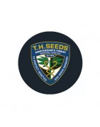 THSeeds féminisées