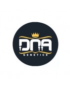 DNA Genetics Autofloraison