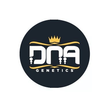 DNA Genetics Autofloraison