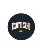 Exotic Seed Autofloraison