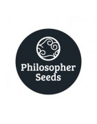 Philosopher Seeds régulières 