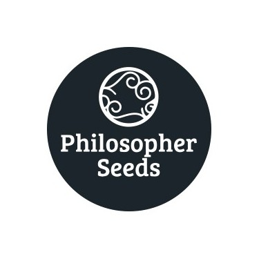 Philosopher Seeds régulières 