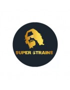 Super Strains autofloraison