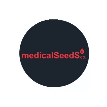 Medical Seeds Autofloraison