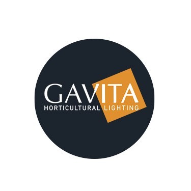 Gavita
