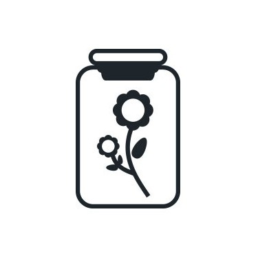 Récolte du cannabis