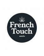 French Touch Seeds Autofloraison