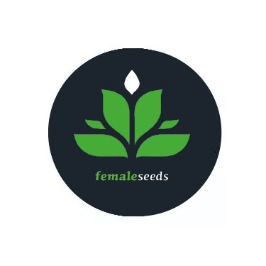 Graines autofloraison Female Seeds