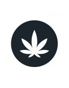 Fleurs de CBD