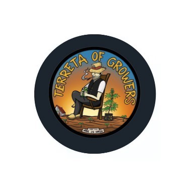 Graines autofloraison Terreta of Growers