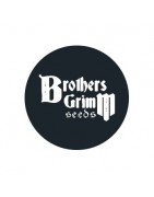 Brothers Grimm Seeds régulières