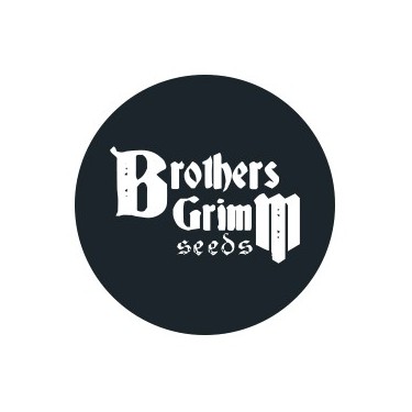 Brothers Grimm Seeds régulières
