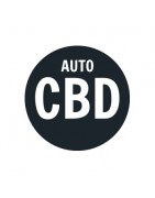 Graines CBD Auto