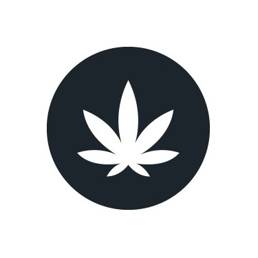 Cannabis indica