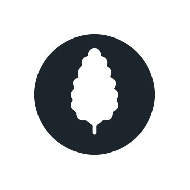 Graines de cannabis productives