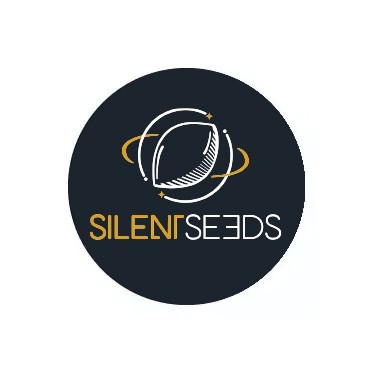 Silent Seeds Autofloraison