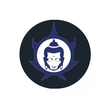 Buddha Seeds féminisées