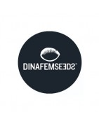 Dinafem Seeds féminisées