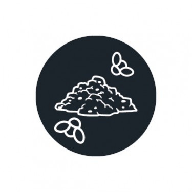 Insecticide pour mouches du terreau